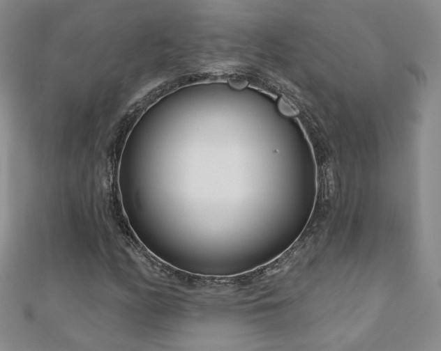 X0000110881158200906181219