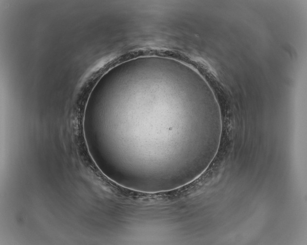 X0000110881159200906181219