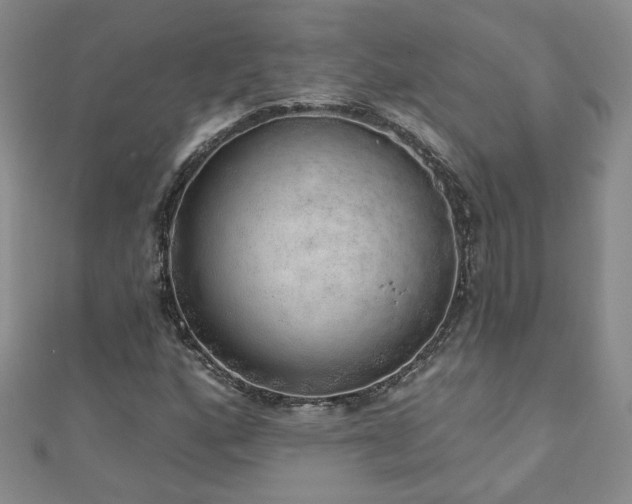 X0000110881160200906181219