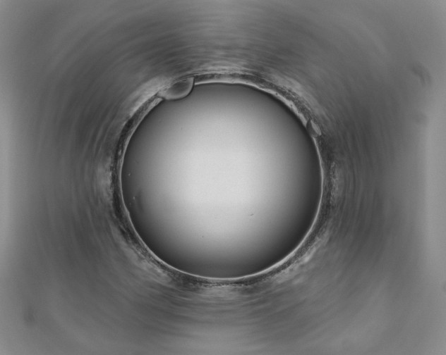 X0000110881162200906181219