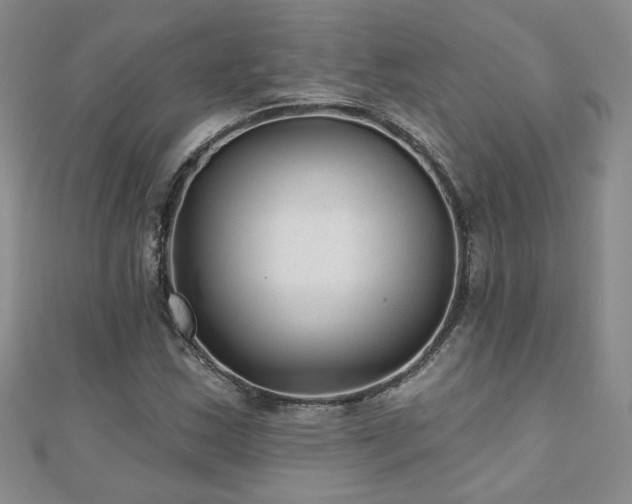 X0000110881163200906181219