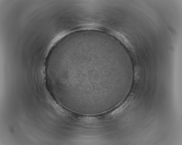 X0000110881164200906181219