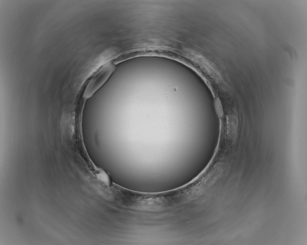 X0000110881165200906181219