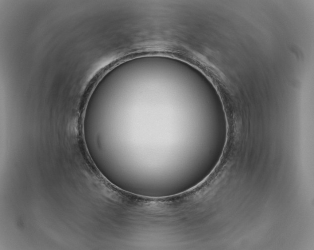 X0000110881166200906181219