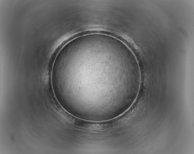 X0000110881167200906181219