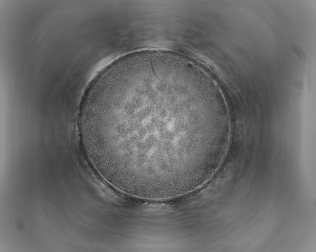 X0000110881168200906181219