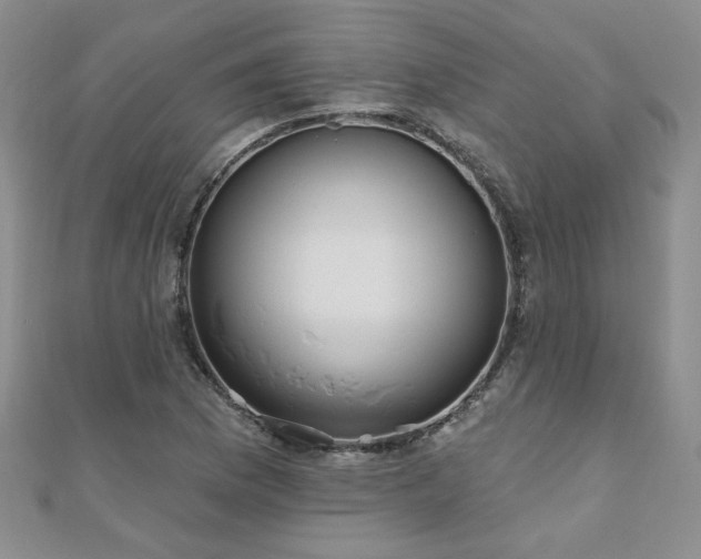 X0000110881169200906181219