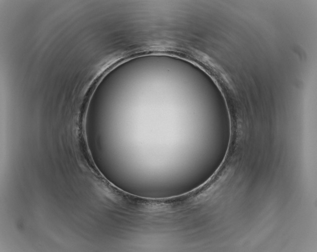 X0000110881170200906181219