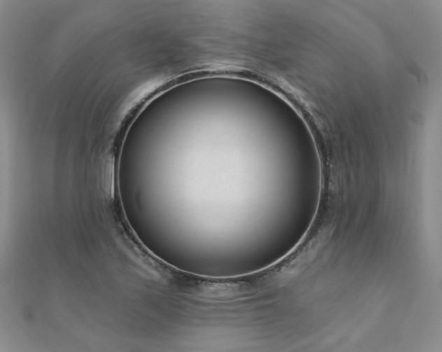 X0000110881171200906181219