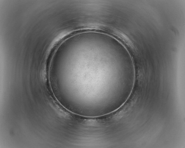 X0000110881172200906181219