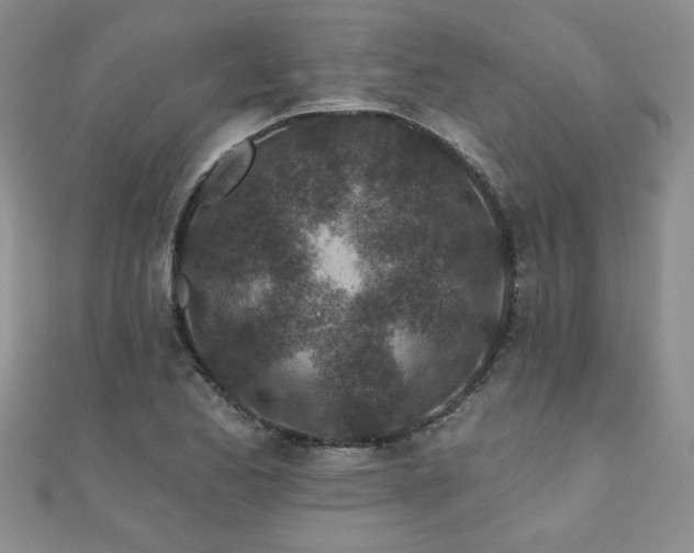 X0000110881173200906181219