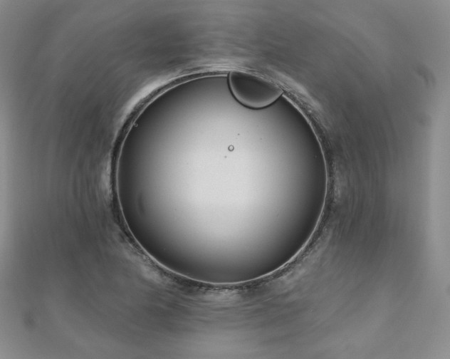 X0000110881174200906181219
