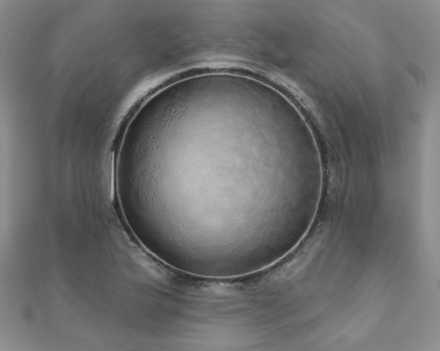 X0000110881175200906181219
