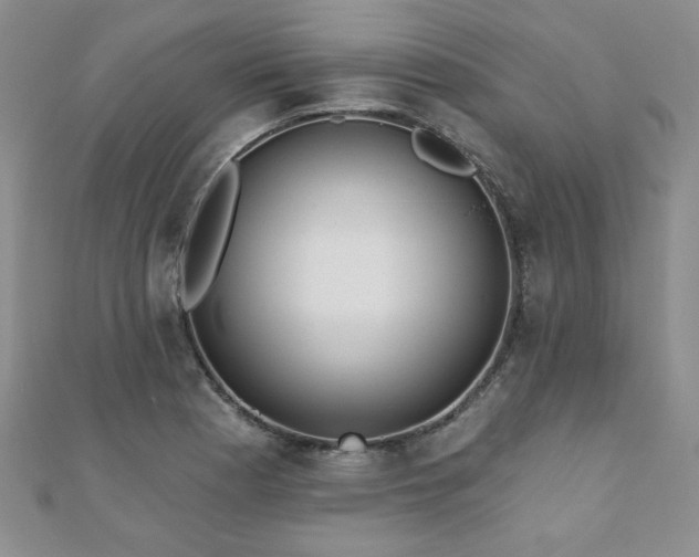 X0000110881177200906181219