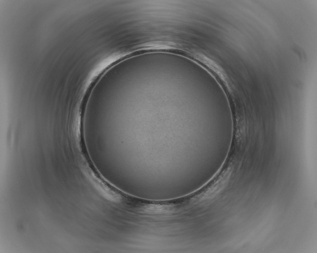 X0000110881179200906181219