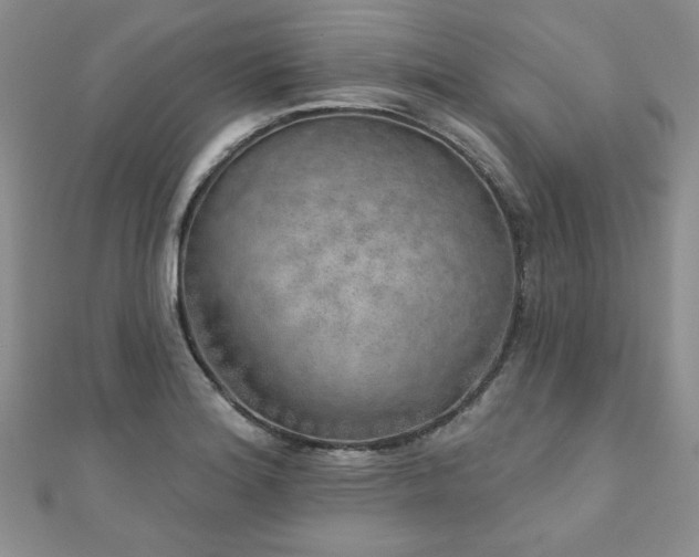 X0000110881180200906181219