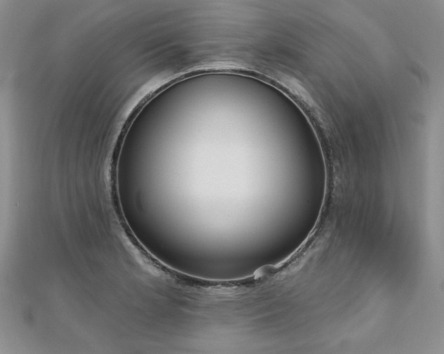 X0000110881181200906181219