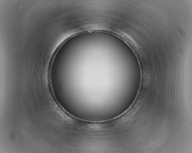 X0000110881182200906181219