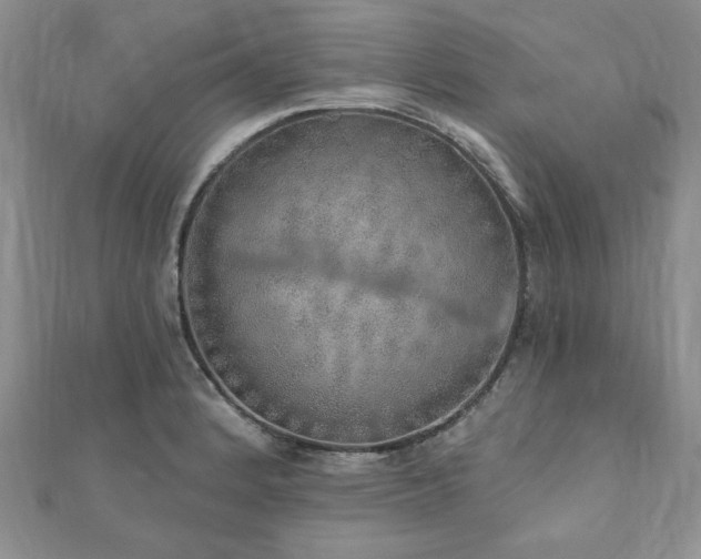 X0000110881184200906181219