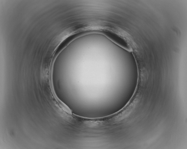 X0000110881185200906181219