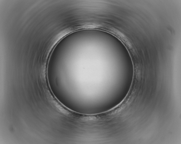 X0000110881186200906181219
