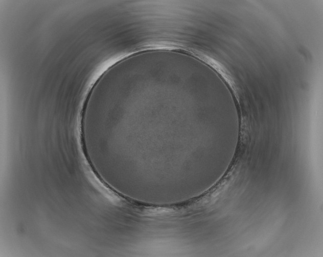 X0000110881187200906181219