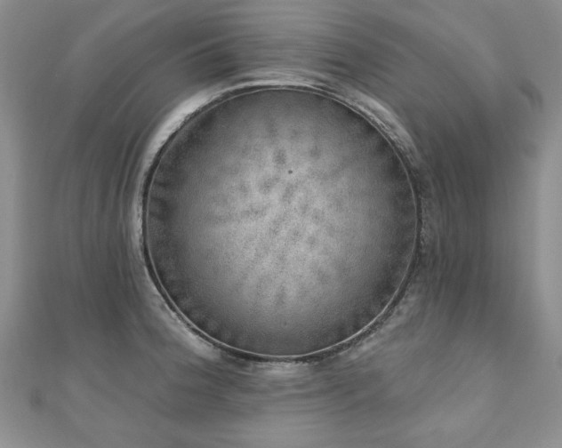 X0000110881188200906181219
