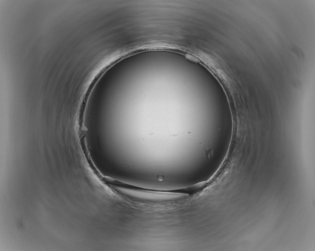 X0000110881189200906181219