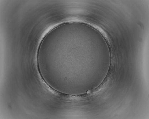 X0000110881191200906181219