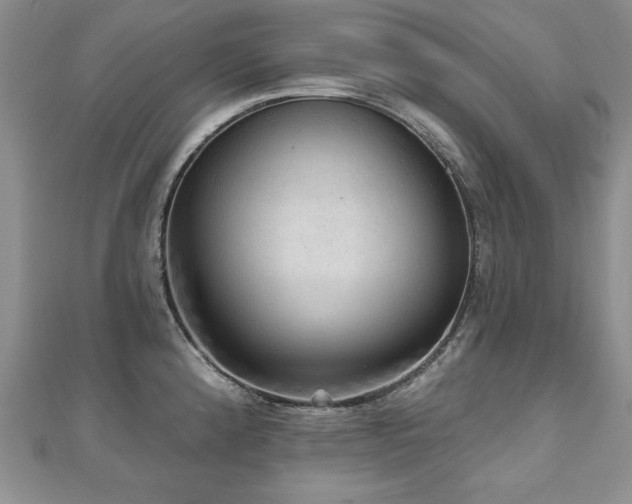 X0000110881192200906181219