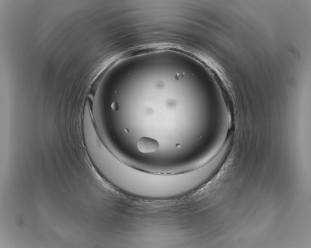 X0000110881193200906181219
