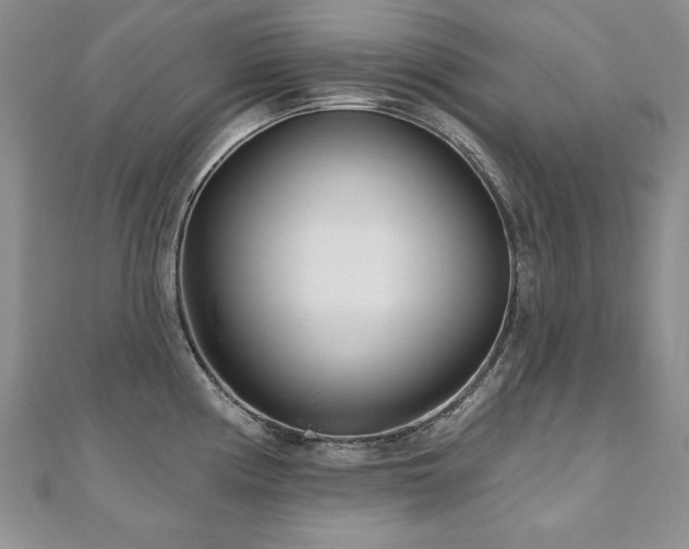 X0000110881194200906181219