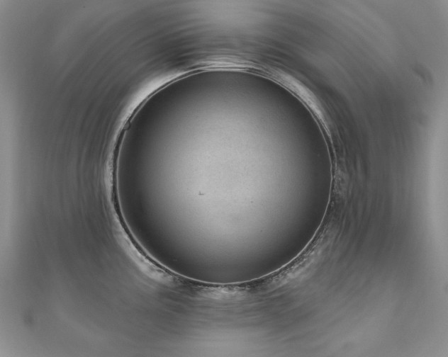X0000110881195200906181219