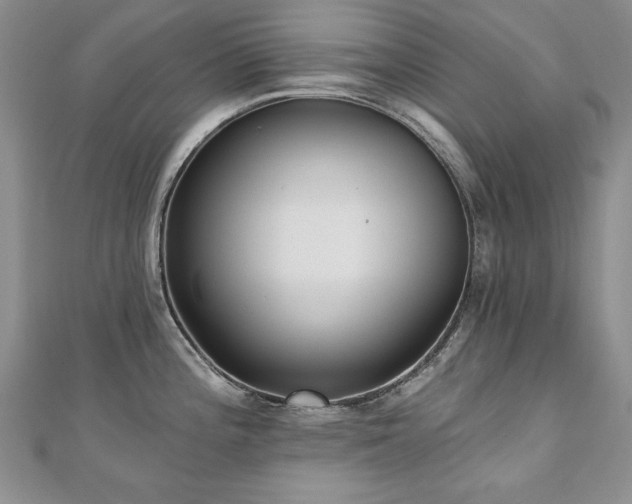 X0000110881196200906181219