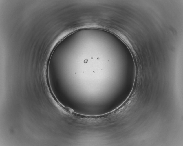 X0000110881197200906181219