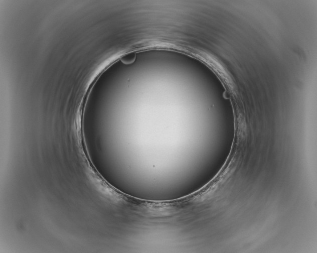 X0000110881198200906181219