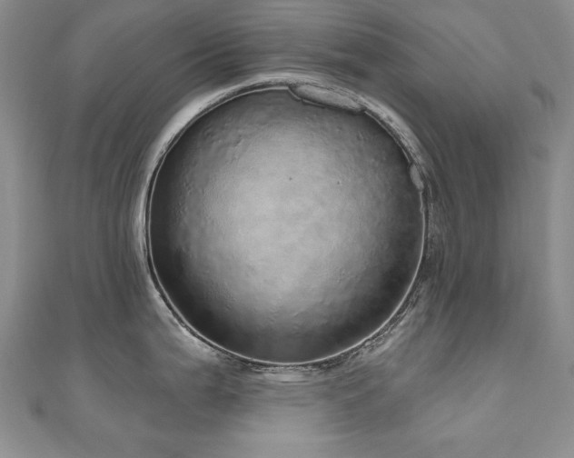 X0000110881199200906181219