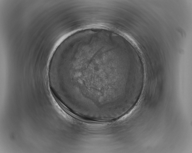 X0000110881200200906181218