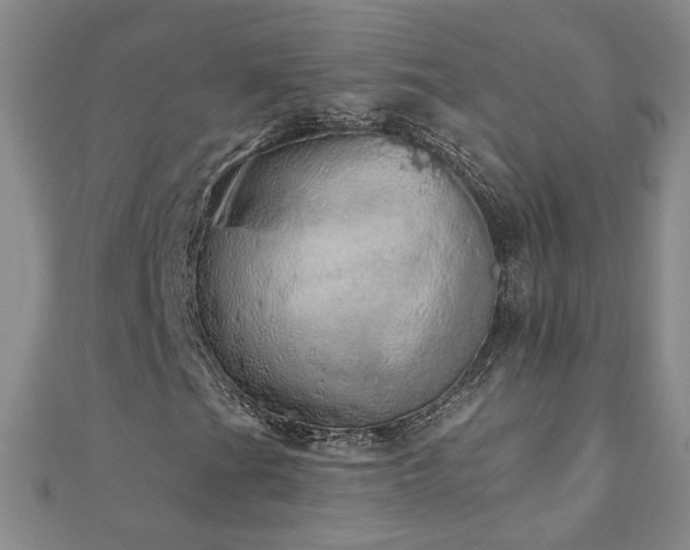 X0000110881201200906181218