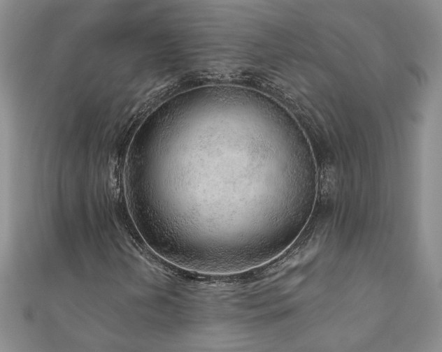 X0000110881202200906181218