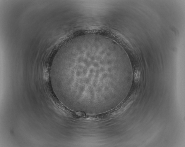 X0000110881204200906181218