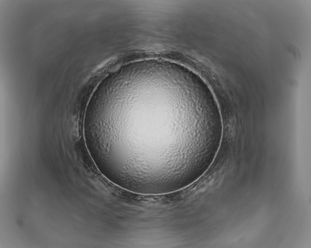 X0000110881205200906181218