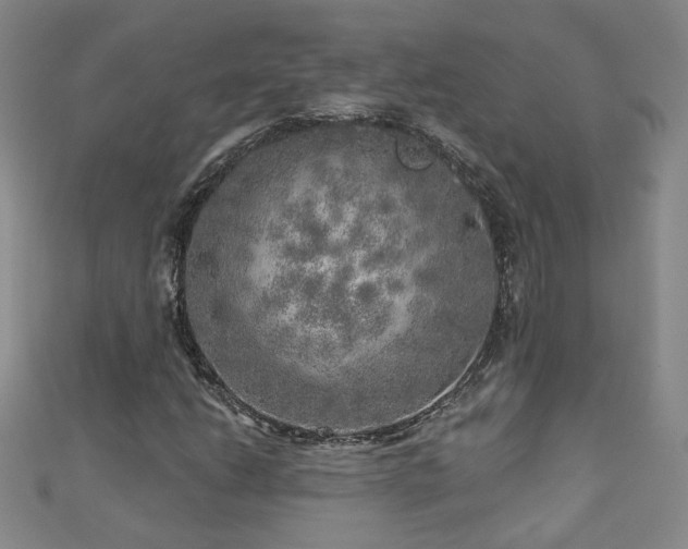 X0000110881206200906181218