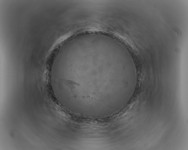 X0000110881207200906181218