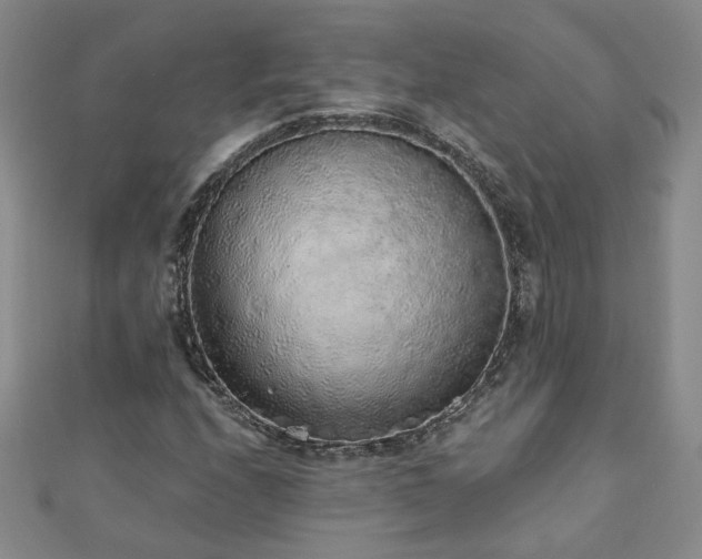X0000110881208200906181218