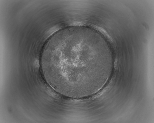 X0000110881209200906181218