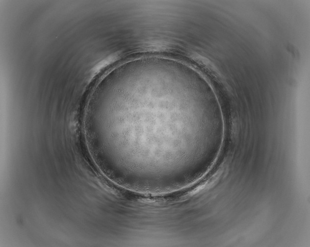 X0000110881210200906181218