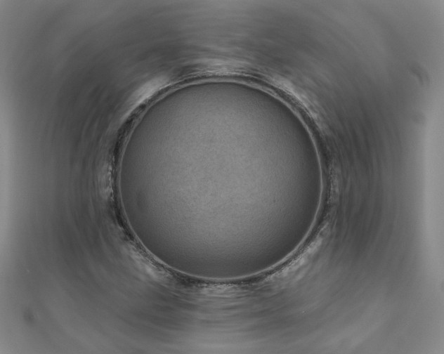 X0000110881211200906181218