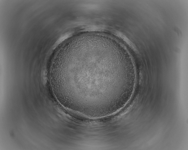 X0000110881213200906181218