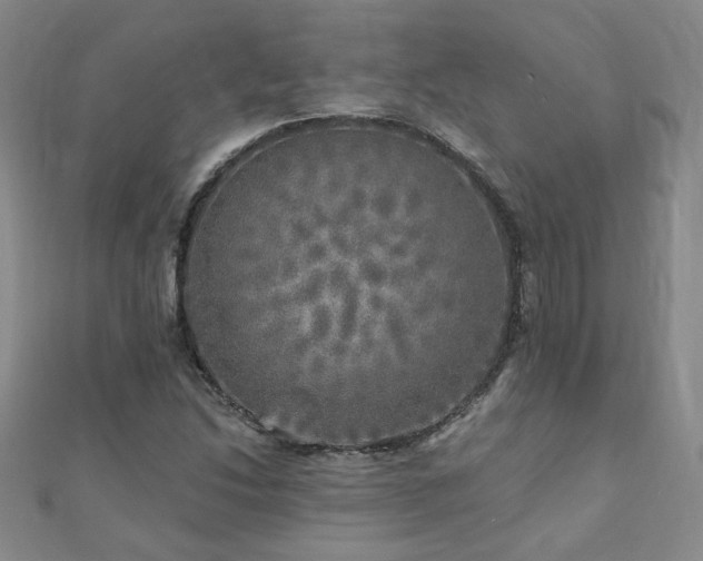 X0000110881214200906181218